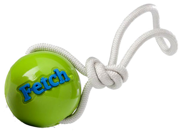 Würfball für Hunde - Fetch Ball von Planet Dog