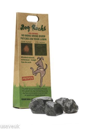 dogrocks steine gegen urinflecken im rasen 02