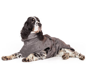Hundebademantel aus Bio-Baumwolle in Grau von LILL's