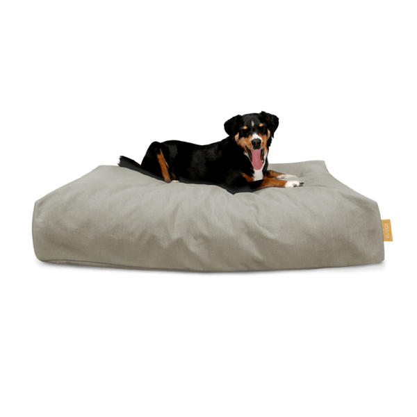 BUDDY Hundebett in Beige - mit Hundemodell