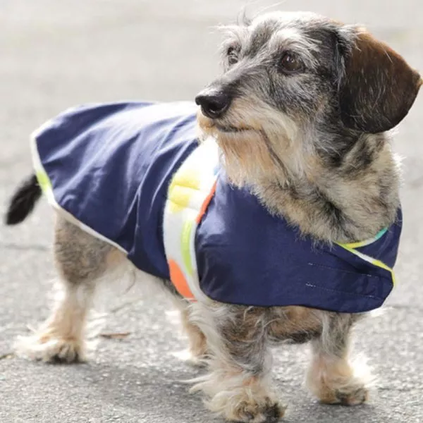 Hundemantel selber nähen - Nähanleitung von Valentina Kurscheid