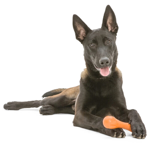 Hundespielzeug Knochen - West Paw Hurley in Orange