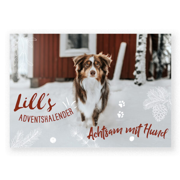 Lill's Hunde Adventskalender