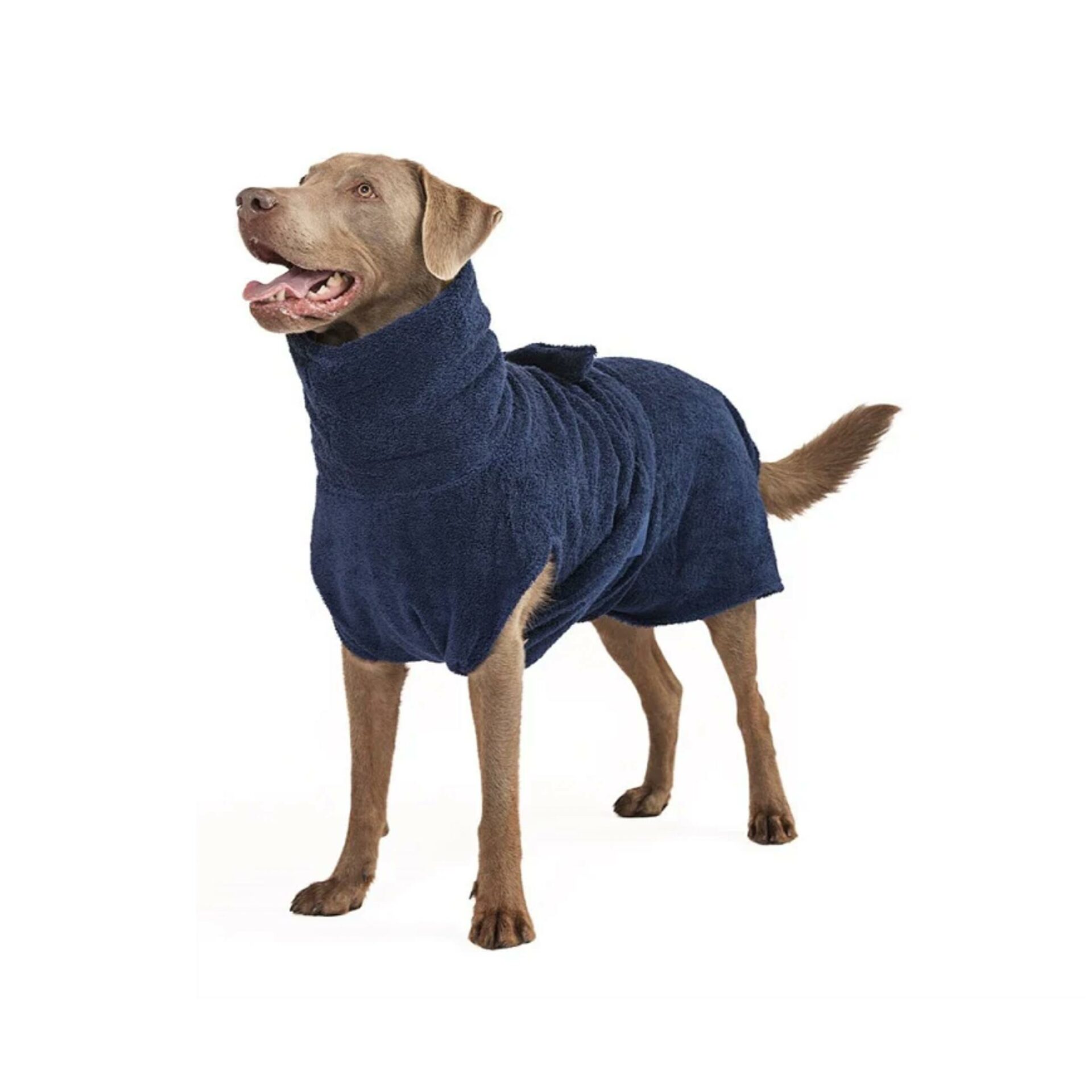 Bademantel Hund - dunkelblaue Bio-Baumwolle – Bild 2