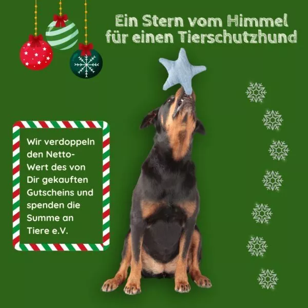 Spendengutschein für Tiere e.V.