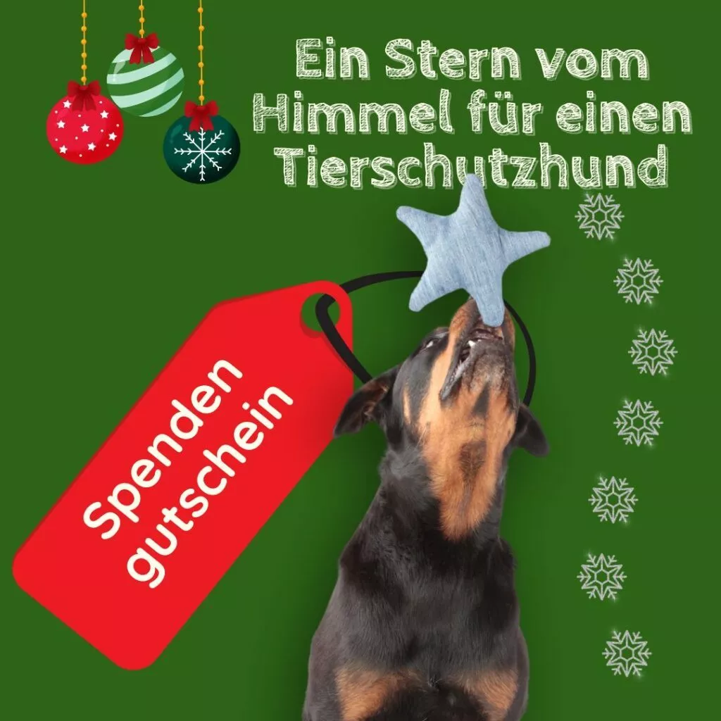 Spendengutschein Tiere e.v.