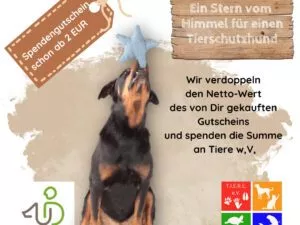 Spendengutschein Unique Dog