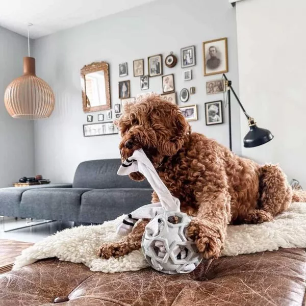 Interaktives Hundespielzeug von Hevea