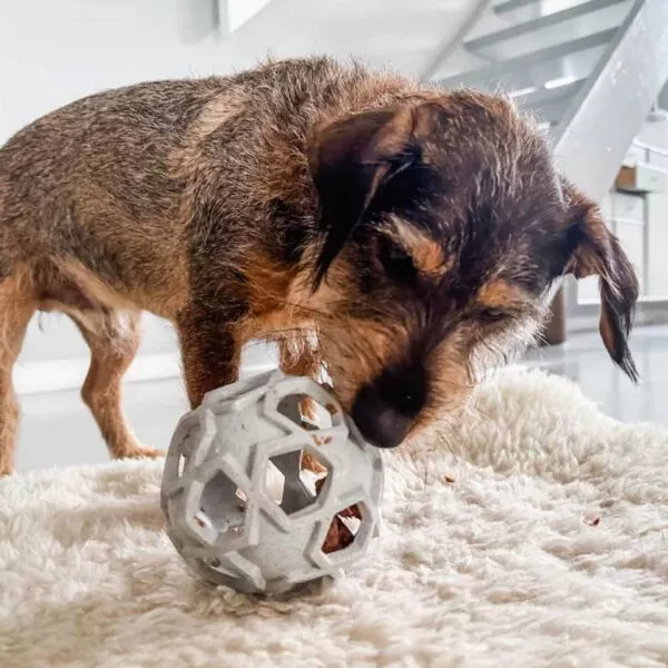 Interaktives Hundespielzeug für kleine und große Hunde