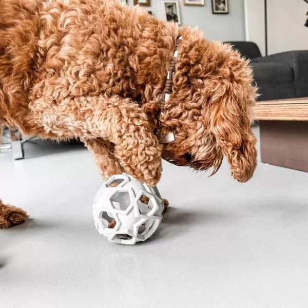 Interaktives Hundespielzeug zum Befüllen: Star Ball von Hevea