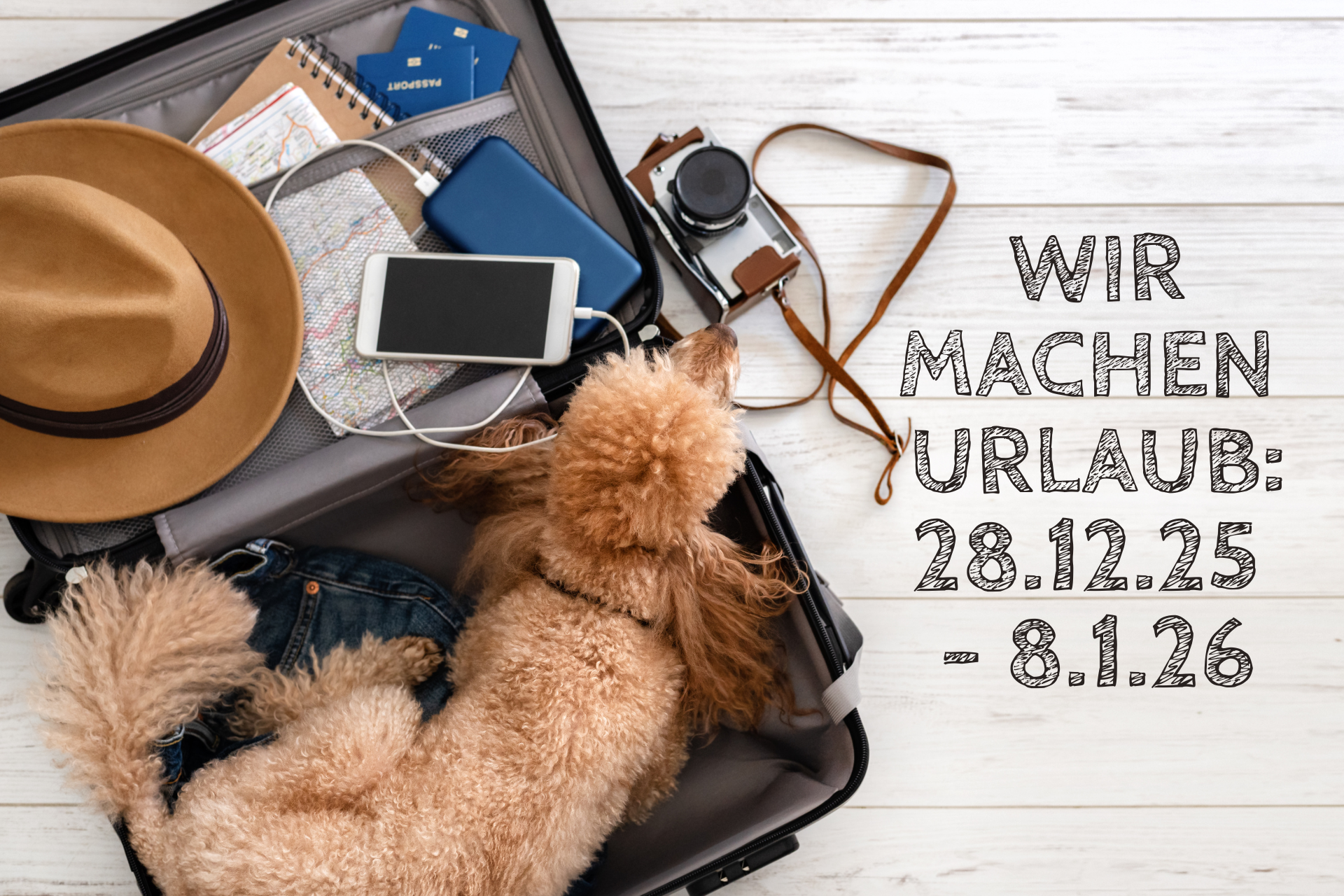 Hund liegt im geöffneten Koffer - bereit in den Urlaub aufzubrechen