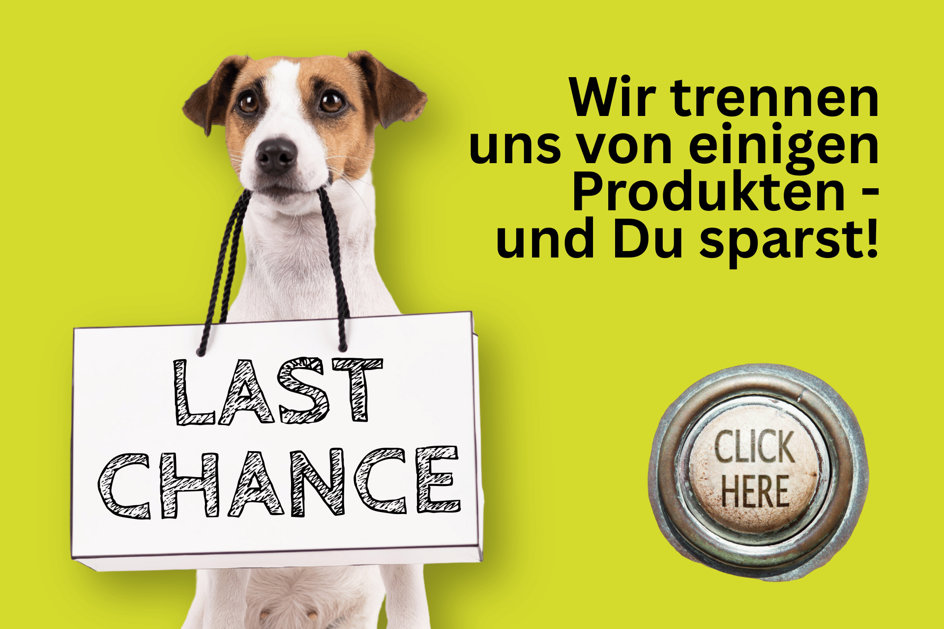 last-chance-unique-dog Last Chance bei UNIQUE DOG